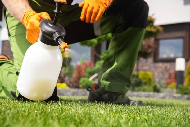 Best Pest Control Near Me  in Woodbridge, CA