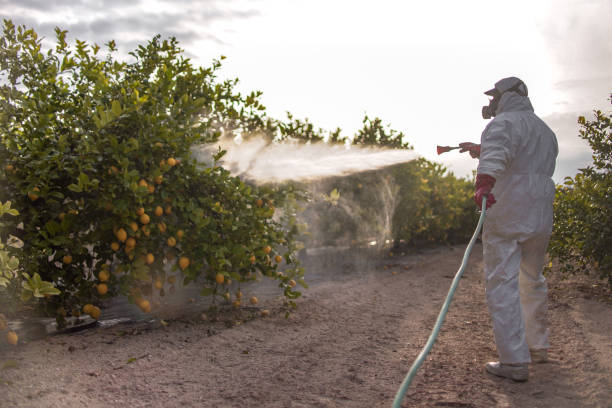 Woodbridge, CA Pest Control Pros